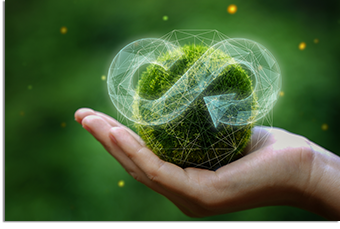 Circular Economy